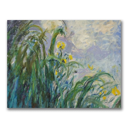 Claude Monet 'The Yellow Iris' Canvas Art,24x32
